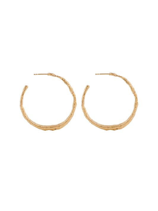 Gold earrings - Exquisite jewelry for adding elegance and charm to any outfit.