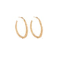 Gold earrings - Exquisite jewelry for adding elegance and charm to any outfit.