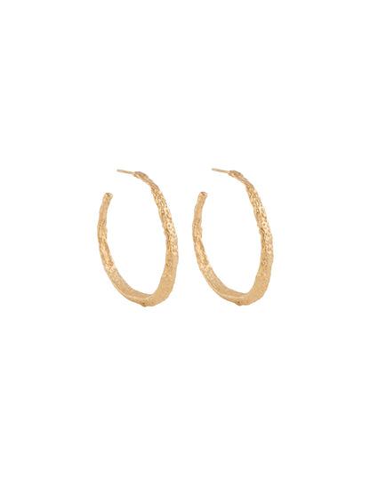 Gold earrings - Exquisite jewelry for adding elegance and charm to any outfit.